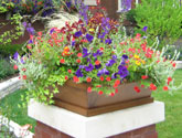 Colorful seasonal rotation completes a garden