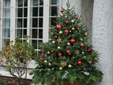 Colorful Christmas decorations