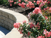 Serpentine retaining wall